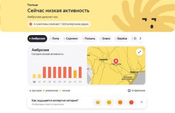 Уровень пыльцы амброзии в Приднестровье сегодня низкий, пишут онлайн карты пыльцы