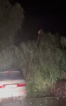 ������ ���� ����� � ������� ������ � ������ ����� �������� ����