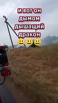 Пожарные под дождём тушат свалку на Кировском в Тирасполе