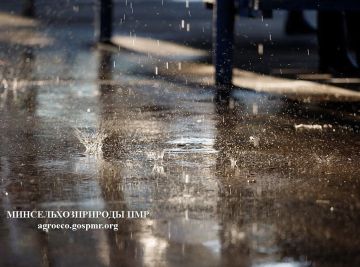 В ближайшие часы, преимущественно на севере республики, ожидается сильный дождь