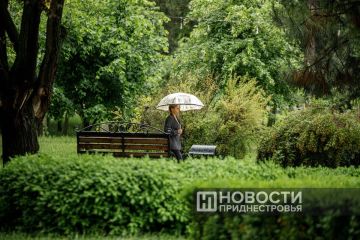 В ближайшие часы местами по республике ожидается сильный дождь