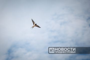 ��������� ������ � ������������� �������� ��� �������