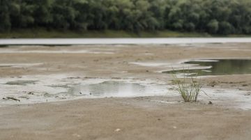 Прошедшие дожди никак не повлияли на уровень Днестра, сообщили в Гидромете