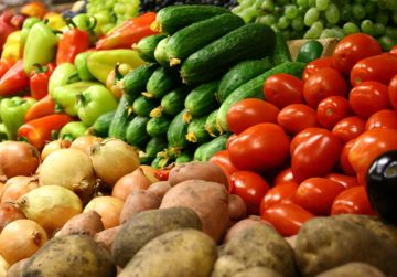 Овощеводческие хозяйства Приднестровья убирают картофель и овощные культуры