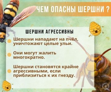 ����� ����������: ������ ����� ������