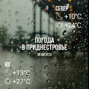 Днём – до +24°С, местами дождь