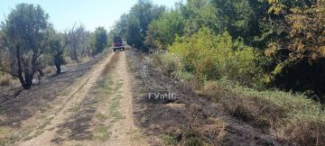 Пожар потушен. . Два расчёта из Бендер 31 августа тушили сухостой у дамбы на окраине города