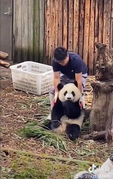 ����� �������� ��� ������ �������� � ���!
