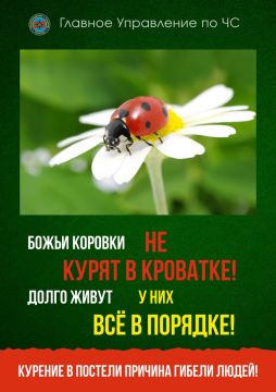 ГУпЧС призывает граждан соблюдать правила при курении: