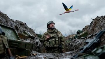 Офицер ВСУ с московской пропиской: Украинский генерал оказался бывшим гражданином России. Получилось неудобно