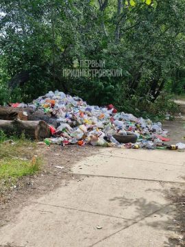 Вот такую гору мусора нашла наша подписчица в районе пляжа