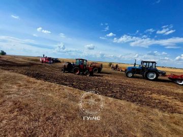 Спасли от огня поле подсолнуха, сосновую рощу и стадо коров