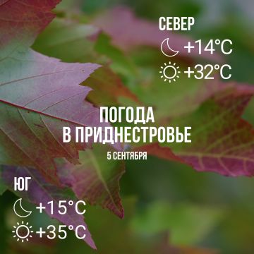 Днём – до +35°С, местами кратковременный дождь
