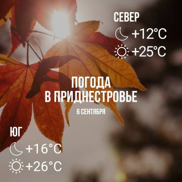 Днём – до +26°С, порывы ветра до 16 м/с