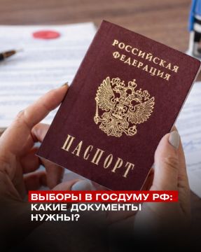 Проголосовать можно будет на любом из участков