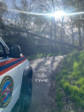 ���������� ��������� ����� ������� ������ � �������� ����� ����� 50 ��� ����� ������� �����