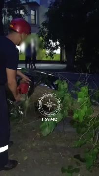 На видео столичные спасатели распиливают дерево на улице Космонавтов, которое вчера упало на два автомобиля