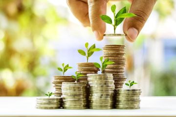 Правительство рассмотрело предложение Минфина продлить налоговый эксперимент по экологическим платежам до 31 декабря 2027 года