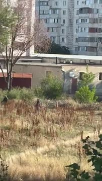 �������� ���������� ��� ������������ ����� � ���������