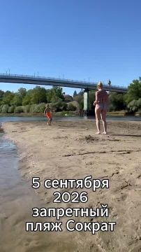 Футбол на острове у собачьего пляжа устроили в эти выходные