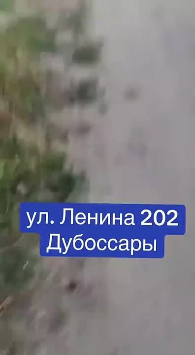 Помойный конфликт случился в Дубоссарах