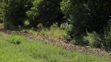 ������� ���������� ����������� ������� ���� �������� � ��������� ��������