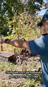 Пьяный тираспольчанин уснул с сигаретой в руках, остался без дома и попал в больницу с ожогами