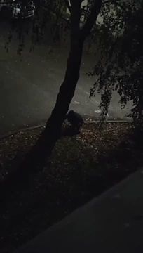 �� ����� ������������, ��� ���-�� ���� ���� ������� � ���� ����� ��� ������� � �����, ��� ������ ��������� ����� � ������� ��������?