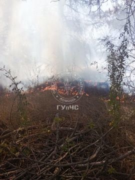Огонь в районе Теи. Вчера григориопольские пожарные тушили сухостой в районе села Тея