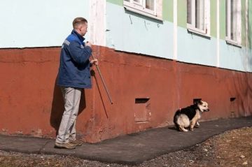 Стаю агрессивных собак, которые напали на пенсионерку в Бендерах, сегодня отловят