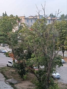 13 �������� ��������� �������� ������, ��������������� �����, ������� �������