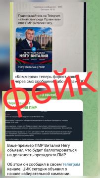 В связи с распространением в сети Интернет публикации о якобы создании «официального Telegram-канала Виталия Нягу» заявляем: данная информация не соответствует действительности