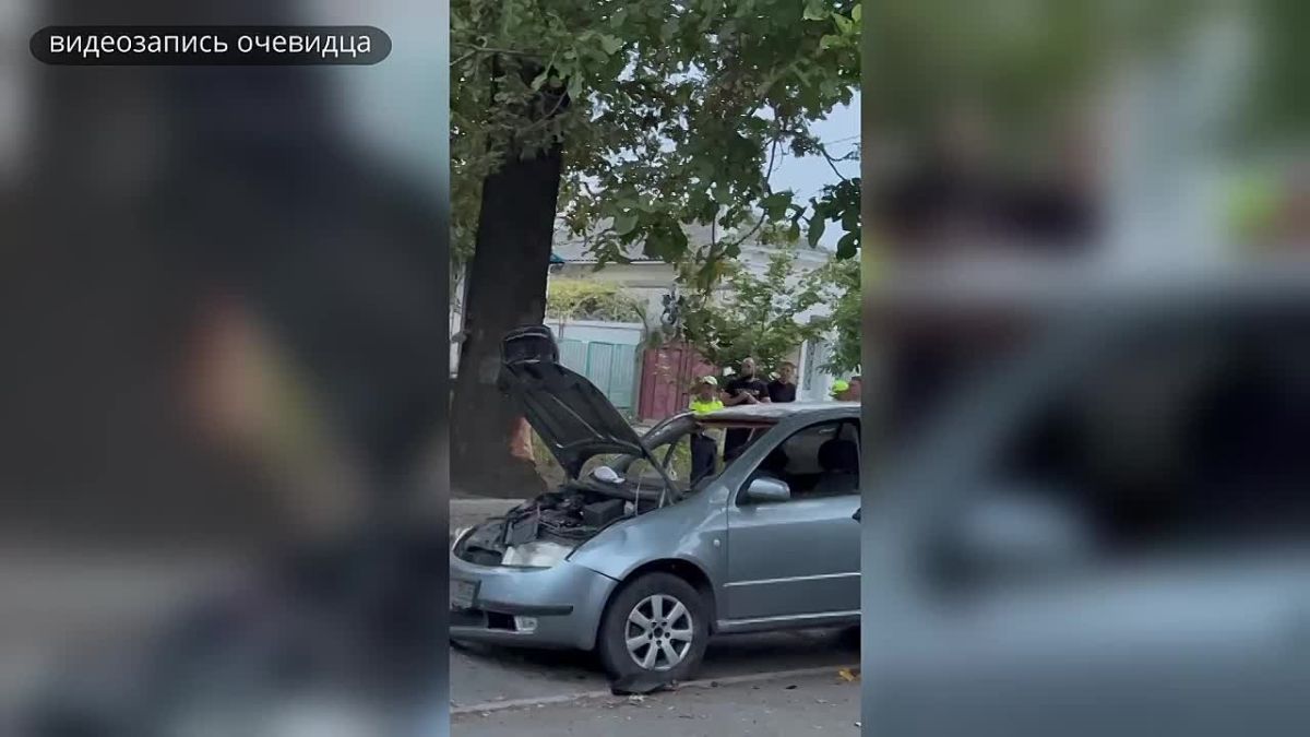 Дуб оказался прочнее. На улице Московской водитель "Skoda" не справился с управлением