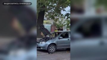 Дуб оказался прочнее. В субботу в Бендерах на улице Московской 43-летний водитель «Шкоды» не справился с управлением
