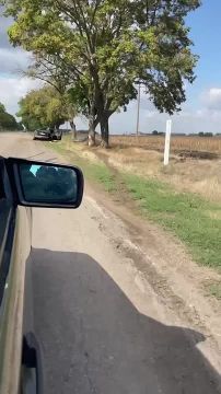 Ƹ����� ��� ��� �������: ������� ��� � ��������� ��������� �� ������ ������� ������