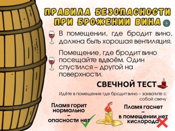 �����: ��������� � ������������