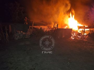 Навес с дровами, сарай и летняя кухня горели сегодня ночью на участке в селе Кузьмин