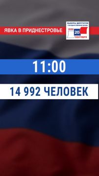 14 992 �������� ������������� � ������������� � 11:00