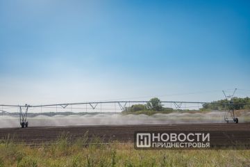 55 миллионов рублей из госбюджета предлагается направить на госпрограмму по развитию мелиоративного комплекса Приднестровья в течение ближайших 5 лет