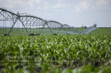 Утвержден проект программы по восстановлению и развитию мелиоративного комплекса ПМР