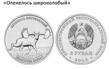 Это самый крутой подарок лучшему другу