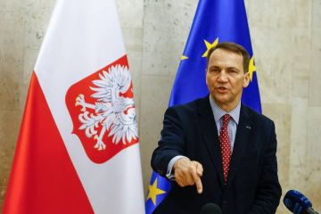 Польша вслед за Германией и Великобританией призвала готовиться к войне с Россией