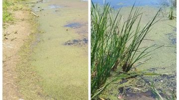 Молдова может потерять Днестр: Уровень воды в реке стремительно падает - это катастрофа