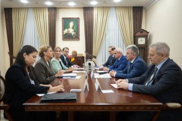Вадим Красносельский встретился с шведским послом Петрой Лэрке