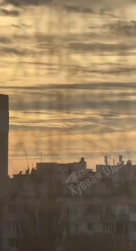 Одесса. Поселок Котовского. Упала сбитая Герань