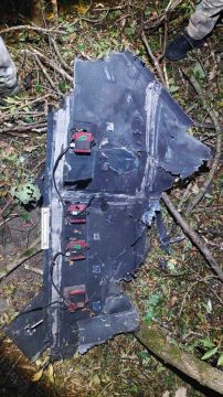 На обломках взорвавшегося в Бричанском районе аппарата обнаружили маркировку «ГЕРАНЬ 4»