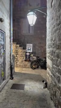 ������ ����������, ������ � ���������� ���� �������� �� ������ � ��������, ������� ��������� ������ � ������� �� ������