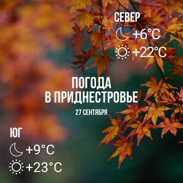Днём – до +23°С