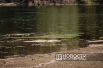 Днестр мелеет: объявлен красный код