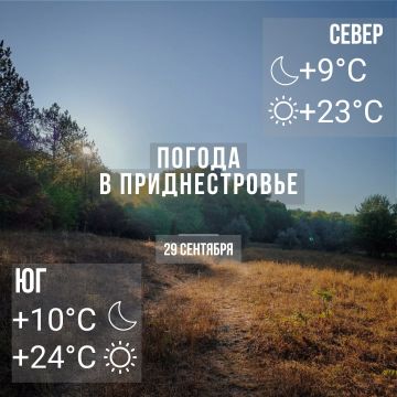 Днём – до +24°С, без осадков
